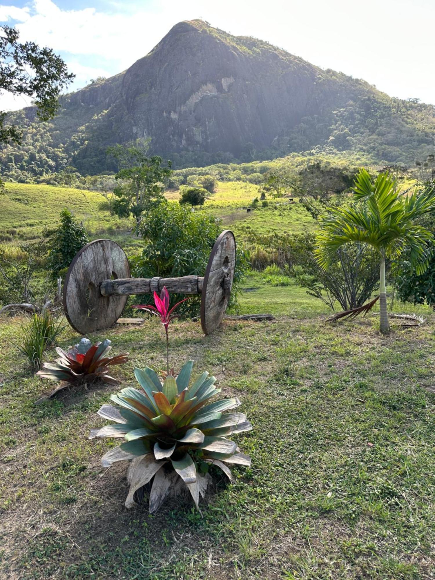 Sitio Recanto Dos Passaros Sao Fidelis (Rio de Janeiro) Exterior foto